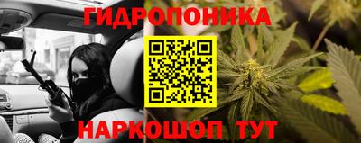 apvp Нарткала