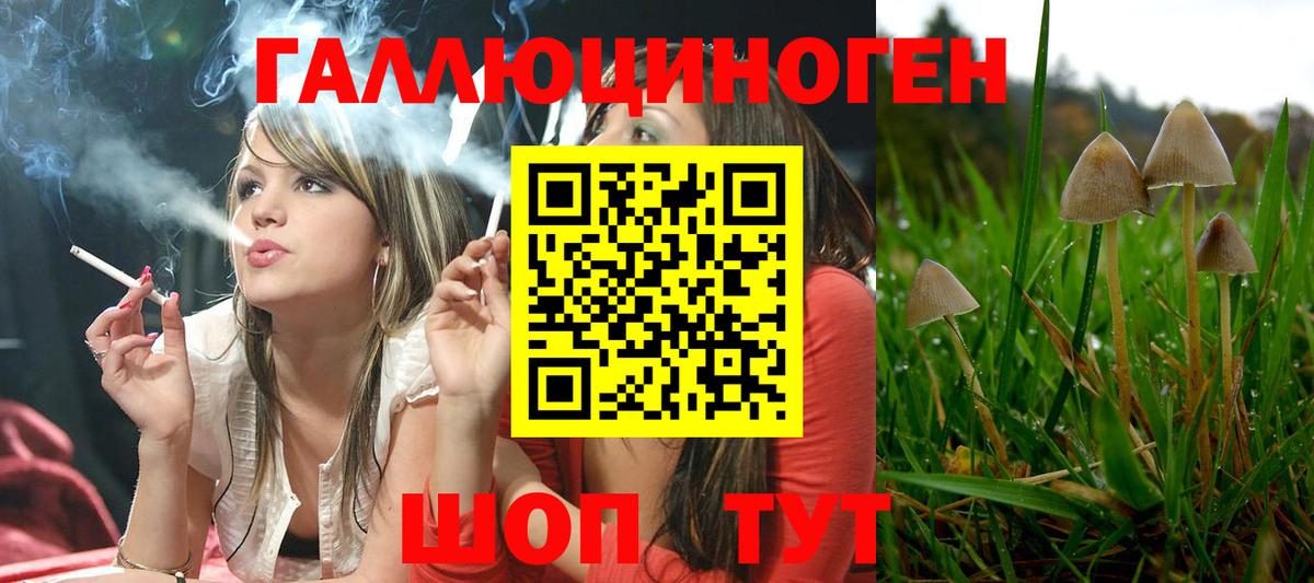 Среднеуральск  Псилоцибиновые грибы ЛСД  Галлюциногенные грибы прущие грибы  Вход с VPN 